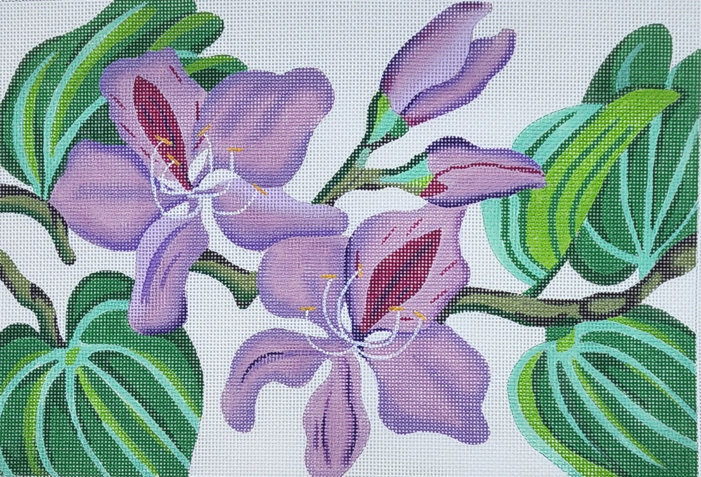 Purple Orchid image 0