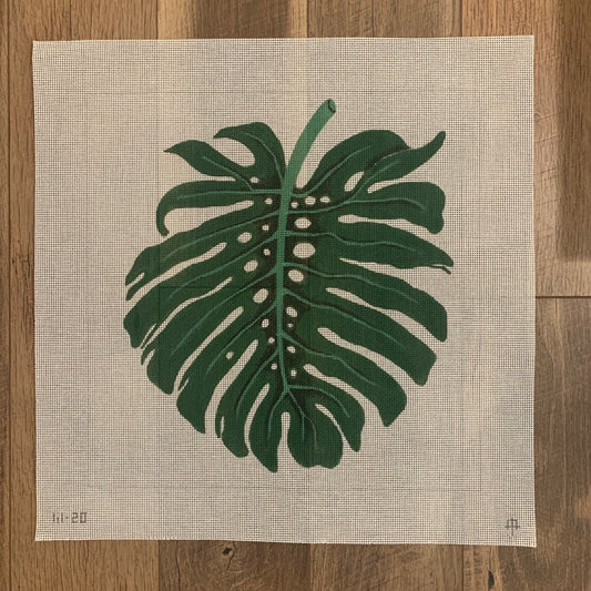 Monstera image 0