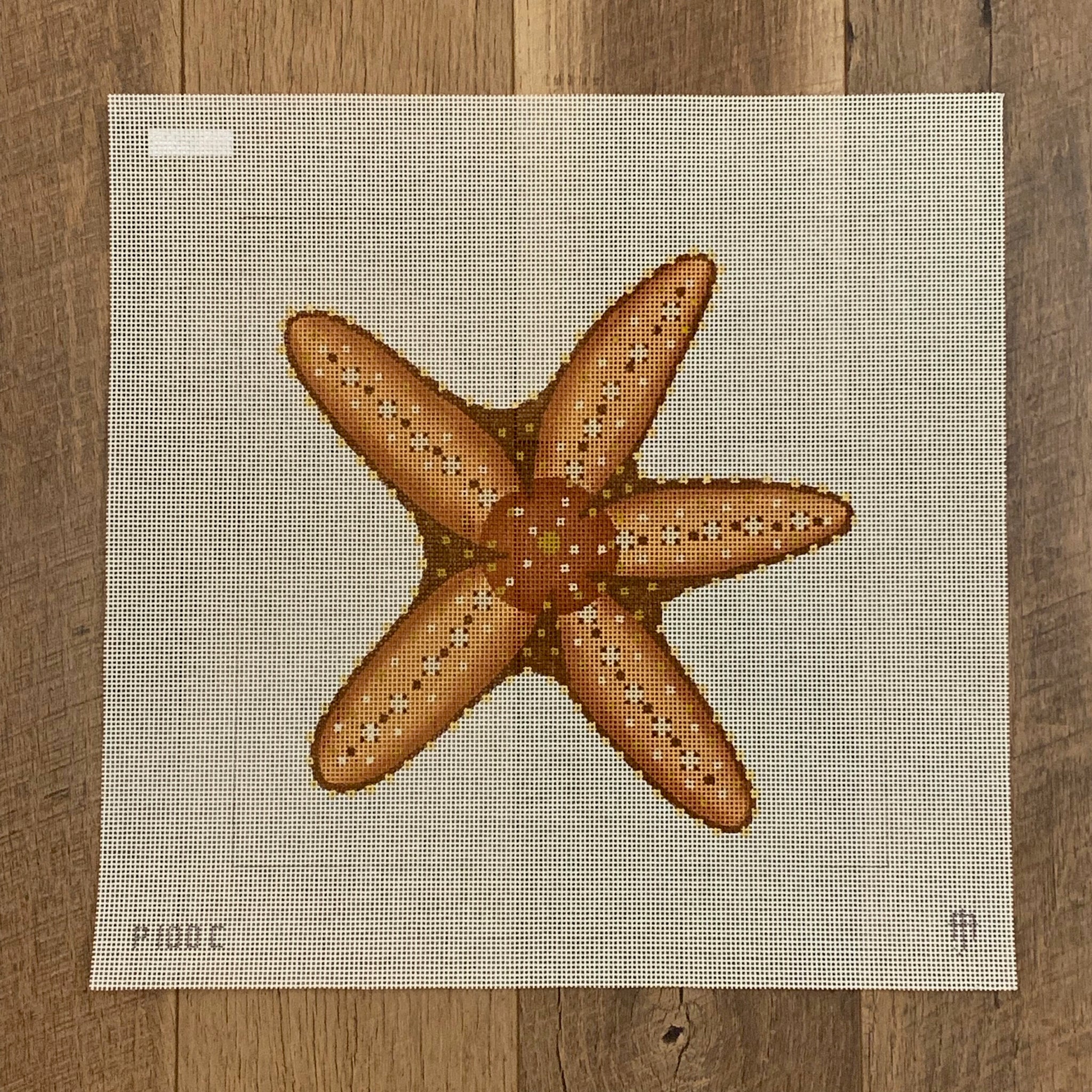 Brown Starfish