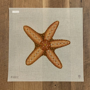 Brown Starfish