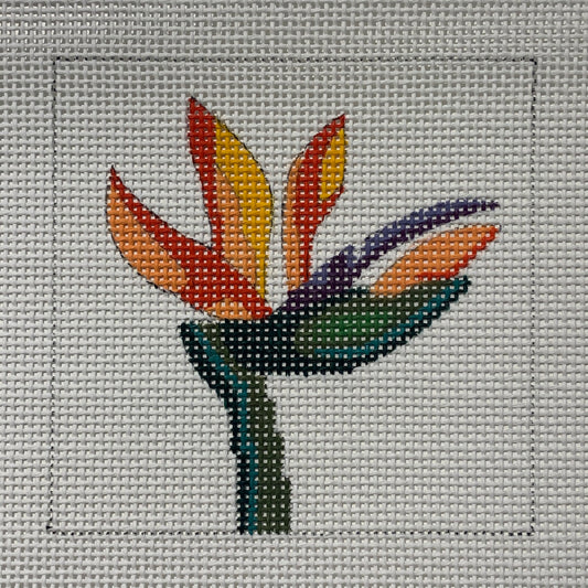 Bird of Paradise Mini