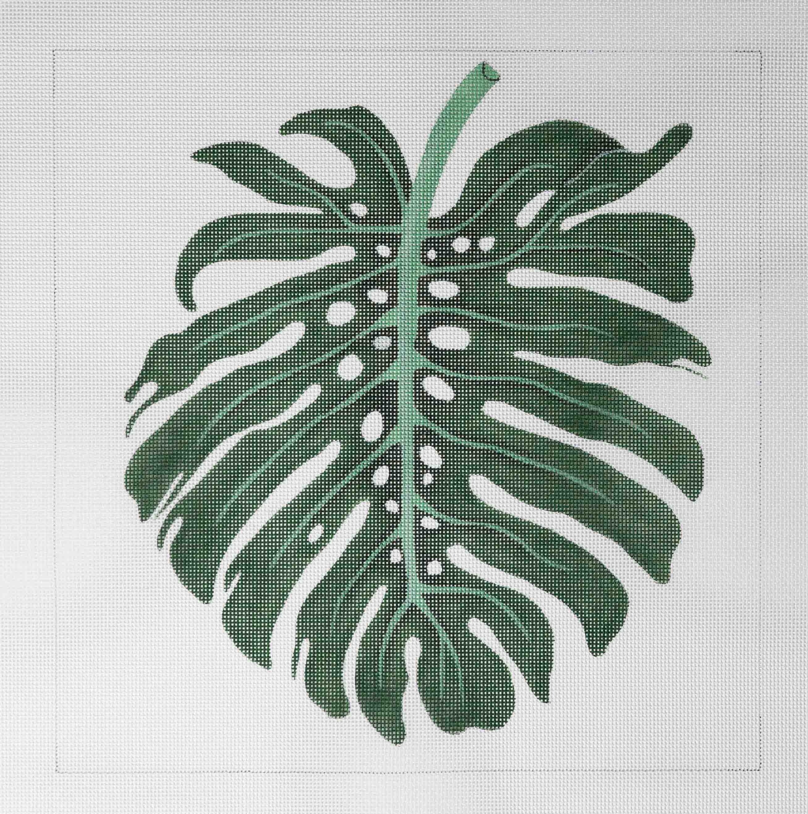 Monstera