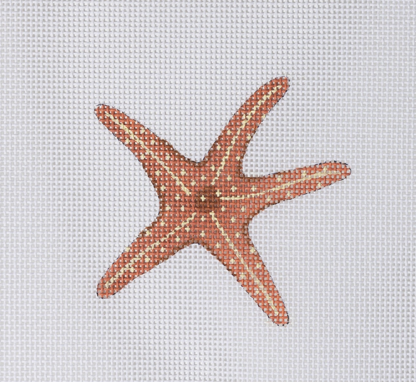 Starfish Mini
