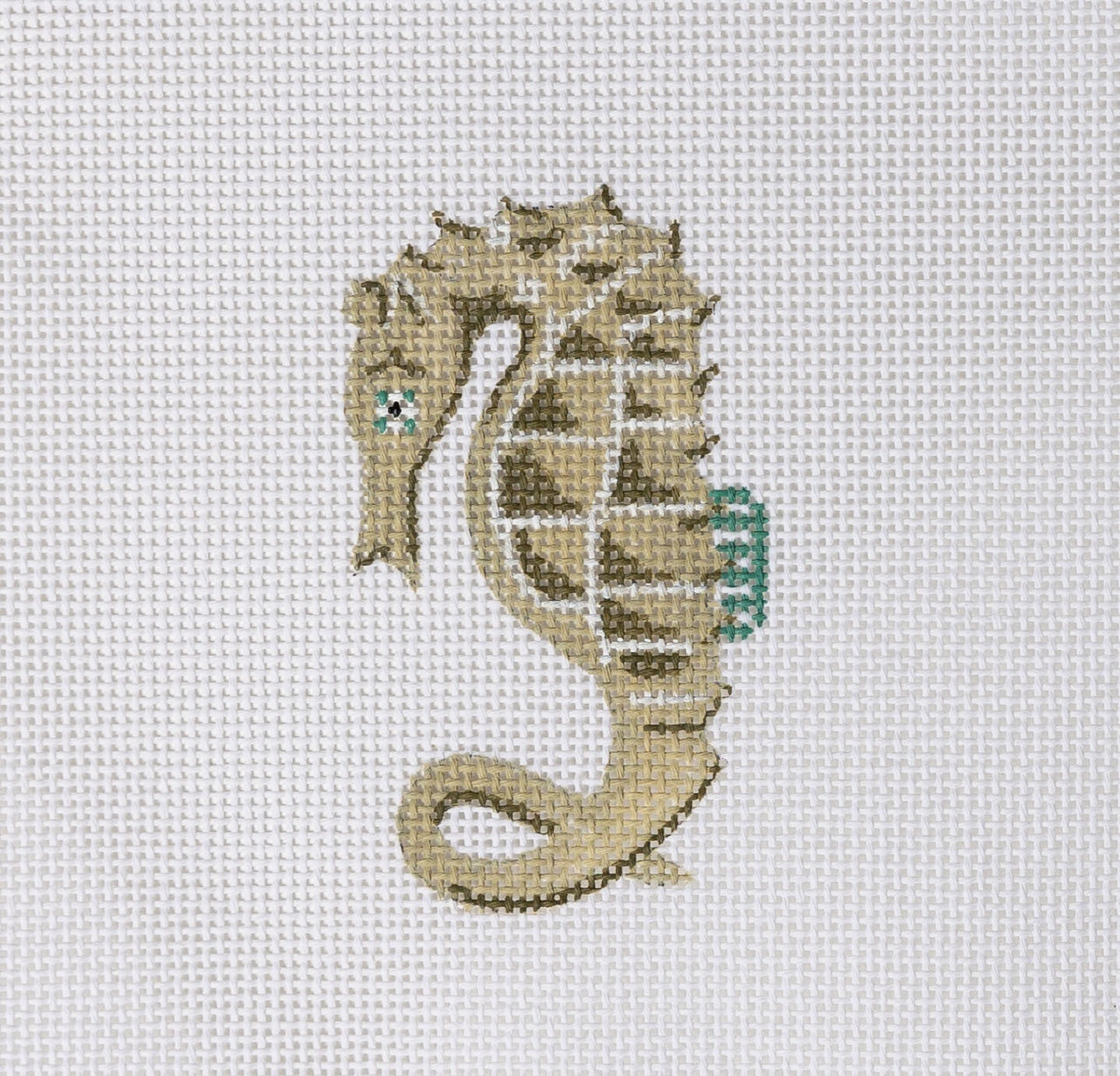 Seahorse Mini