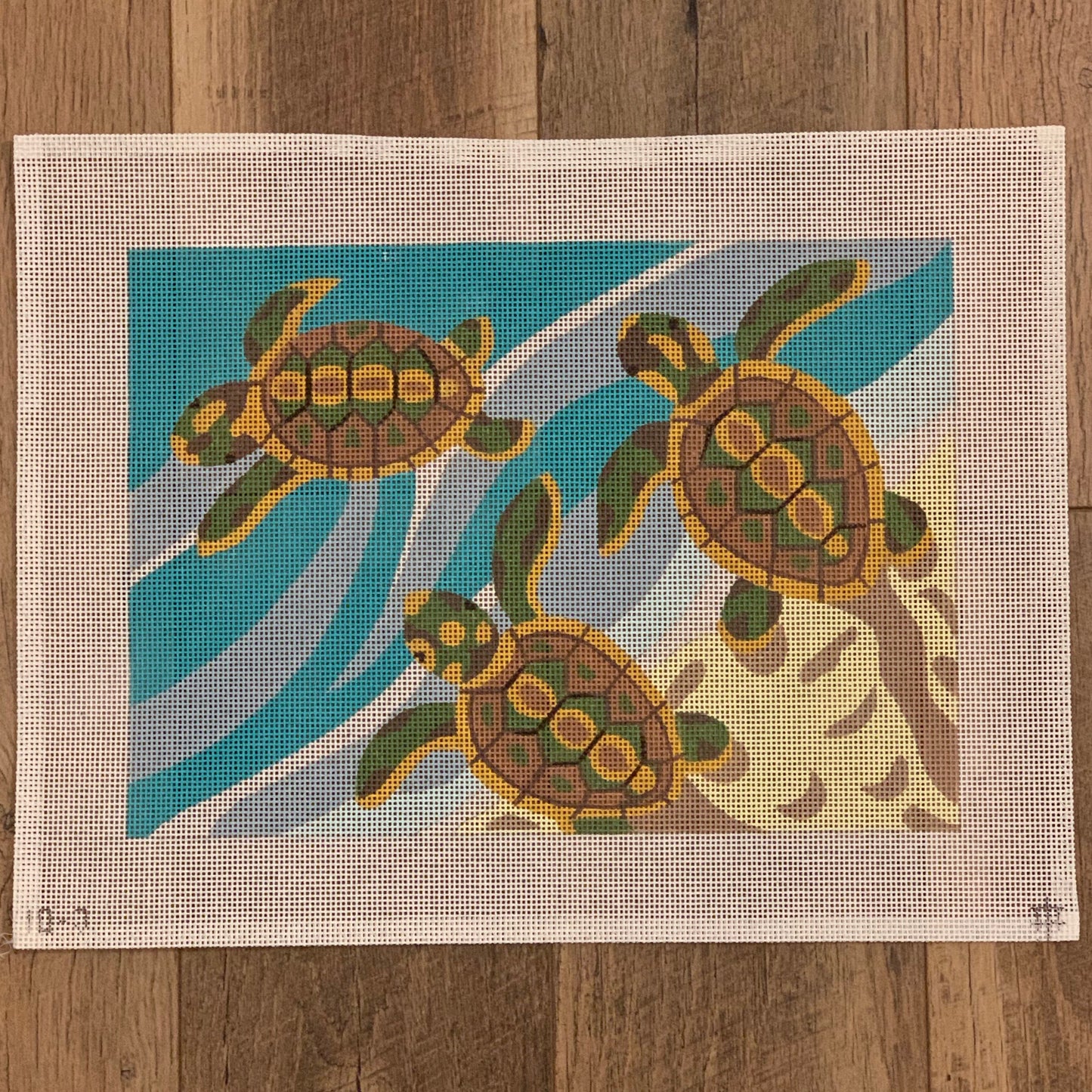 Sea Turtles