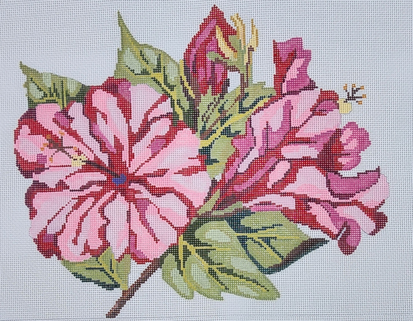 Hibiscus Bloom image 0